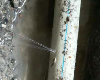大姚卫生间测漏水多少钱
